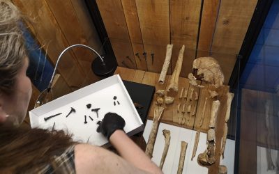 Skelet-mysteriet fortsætter på Lejre Museum